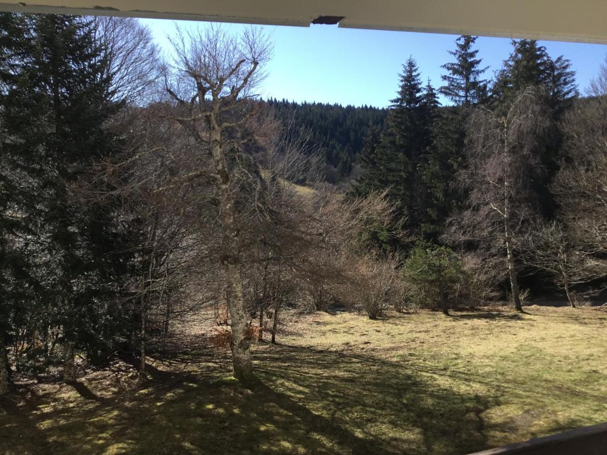 Lo Vedelier D'Aubrac Apartman Laguiole Kültér fotó