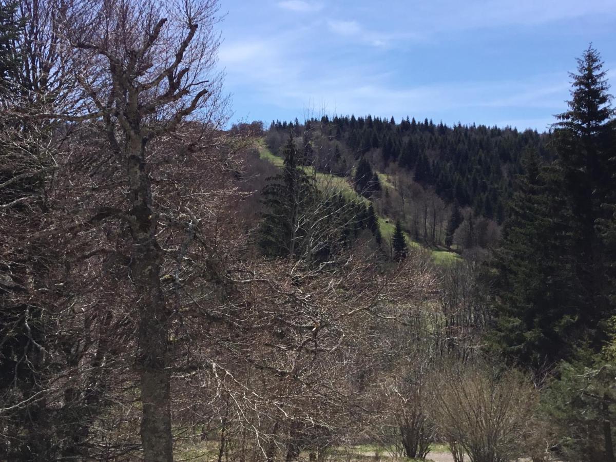 Lo Vedelier D'Aubrac Apartman Laguiole Kültér fotó